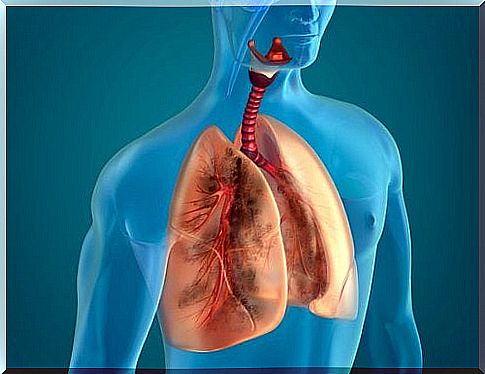 10 natural ingredients to cleanse a smoker's lungs