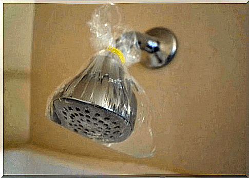 2-shower head