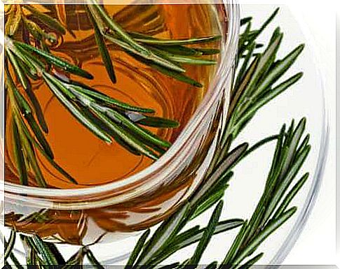 Natural anti-inflammatory ingredients - rosemary