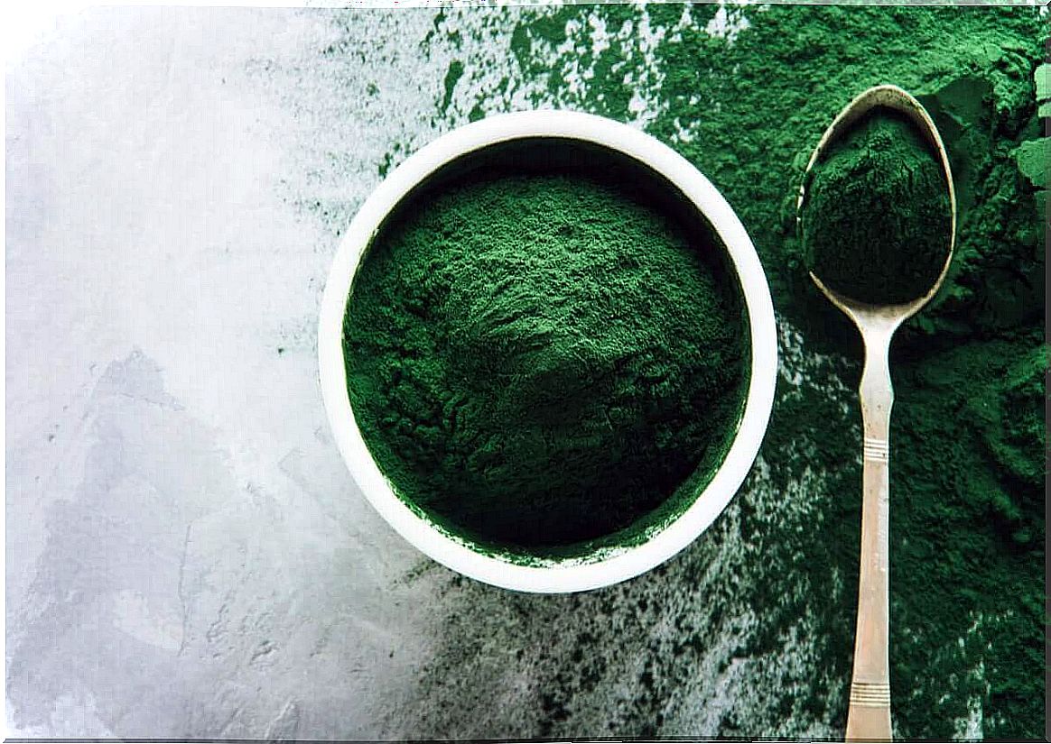 Spirulina in powder form