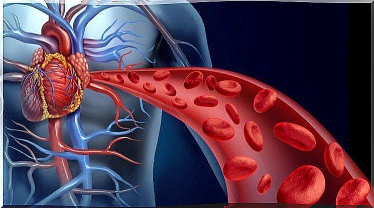 Blood circulation