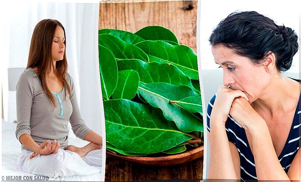 7 benefits of bay leaves that you did not know about