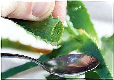 7 reasons to use aloe vera for diabetes