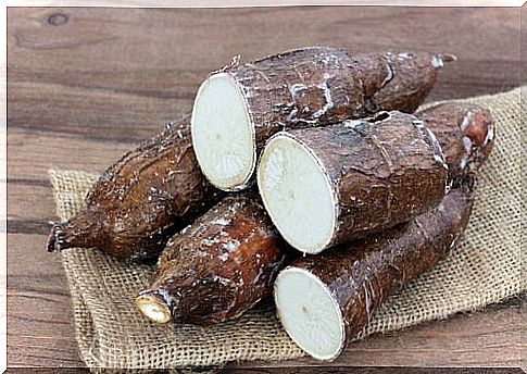 yuca