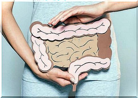 Digestion