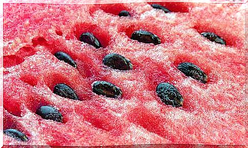 Benefits of adding watermelon seeds to your diet