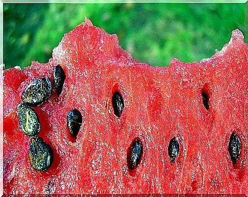 3-watermelon seeds