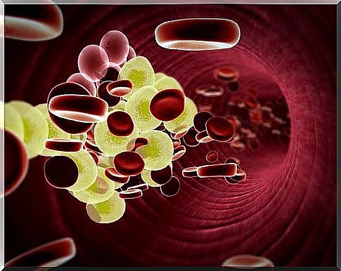 4-red blood cells