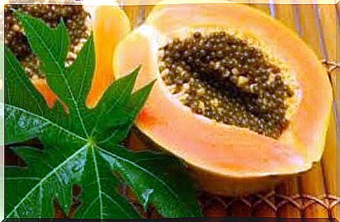 Benefits of papaya leaves that you should know about