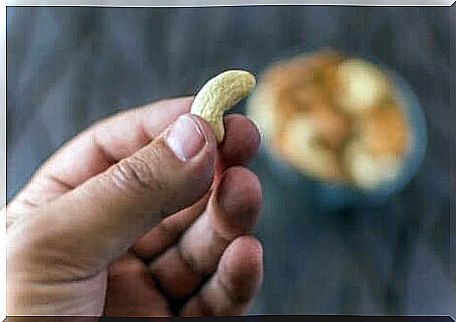 A hand holding a cashew nut.