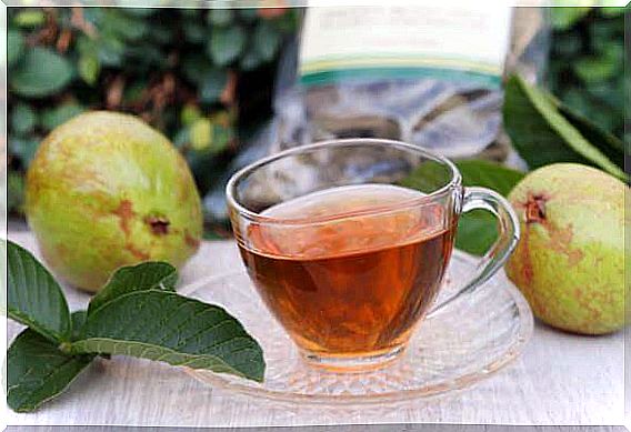 Tea of ​​guava leaves