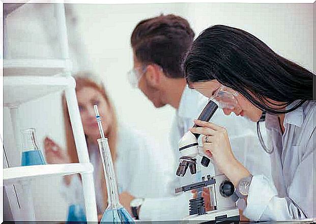 Researchers work in a laboratory.