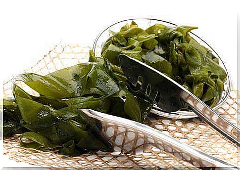 Learn how to use seaweed and its benefits