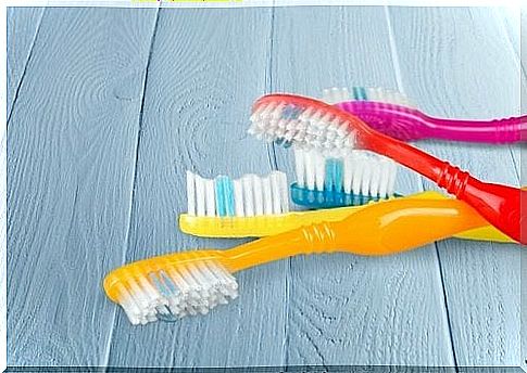 Bacteria in the toothbrush