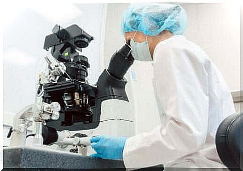 Preimplantation diagnostics and assisted reproduction