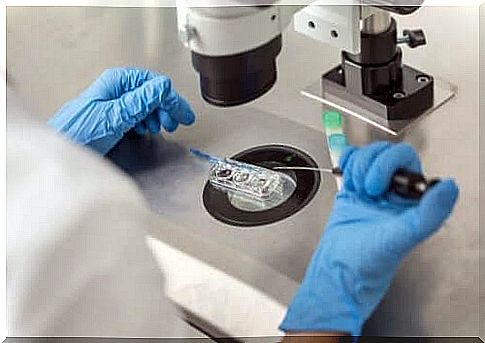 Preimplantation diagnostics