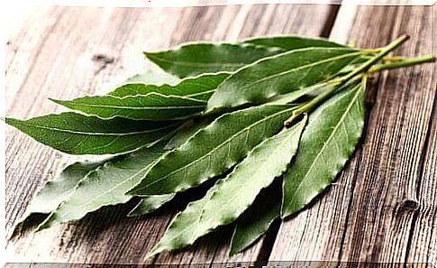 Eucalyptus leaves