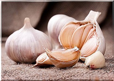 Garlic