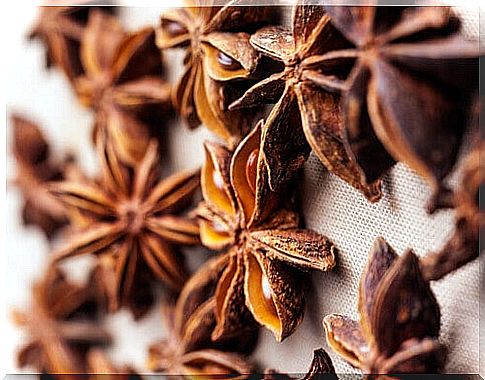 Anise decoction against excess intestinal gas