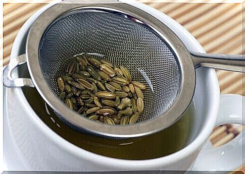 fennel against intestinal gas