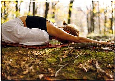 Yoga meditation in the forest