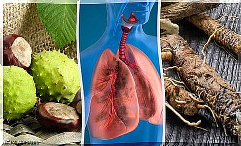 Try these 4 homemade remedies to breathe better and strengthen your lungs