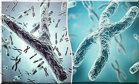 Telomeres are part of chromosomes. 