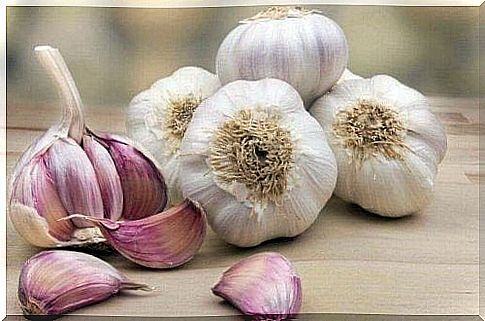 Garlic